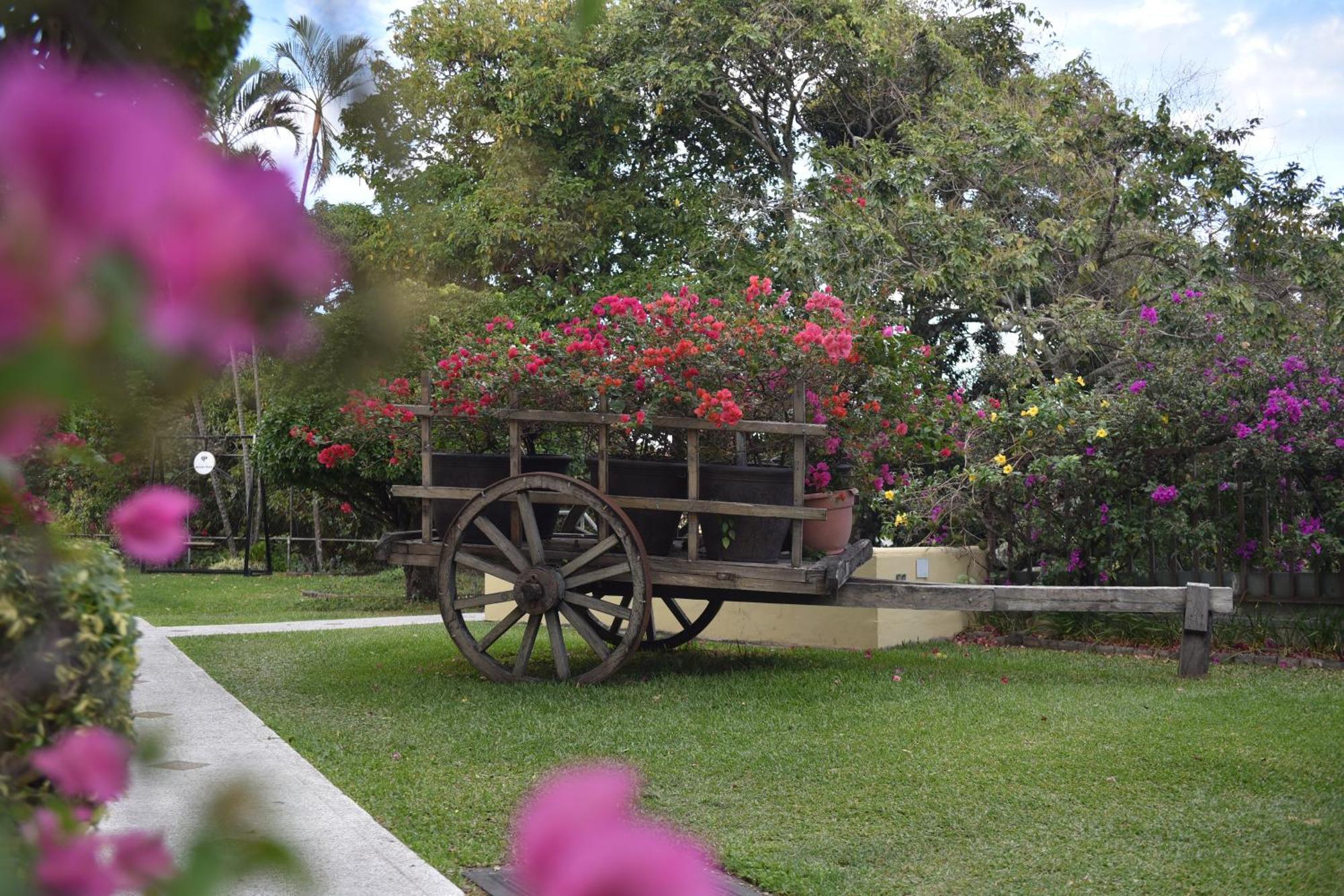 Hotel Mirador Plaza San Salvador Exterior photo